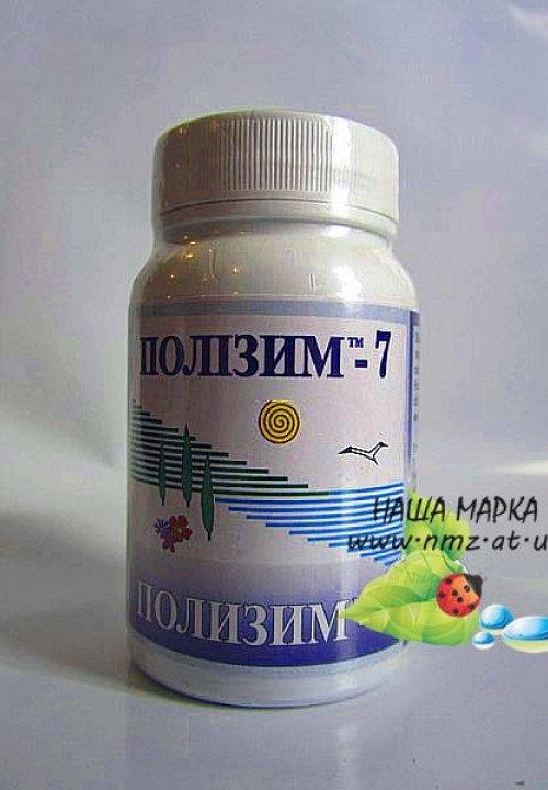 Кликните для увеличения изображения